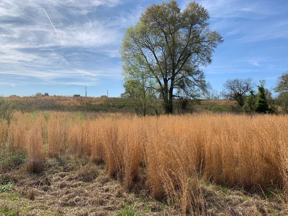 TBD Pleasant View Rd: TBD Pleasant View Rd, Ozark, AR 72949